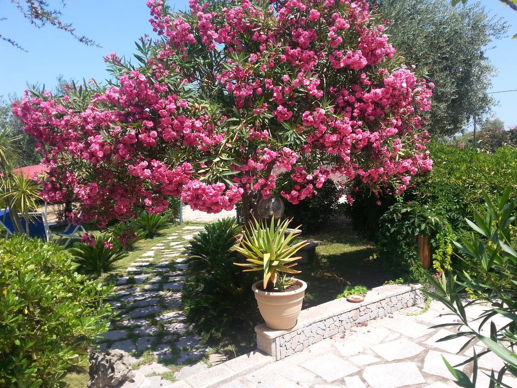 Antico Casolare Sorso-Tourist Rental Εξωτερικό φωτογραφία