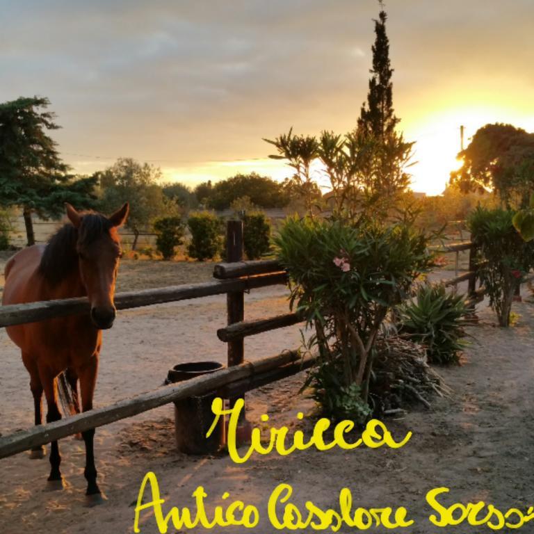 Antico Casolare Sorso-Tourist Rental Εξωτερικό φωτογραφία
